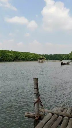 mancing
