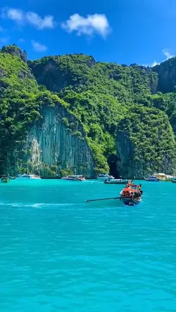 12 videos or photos 