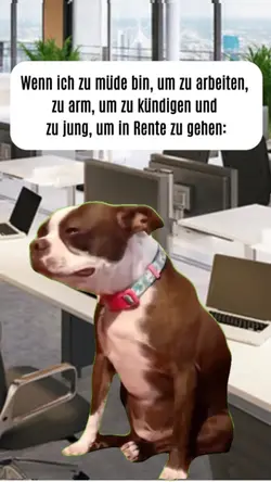 DOG CRYING meme 