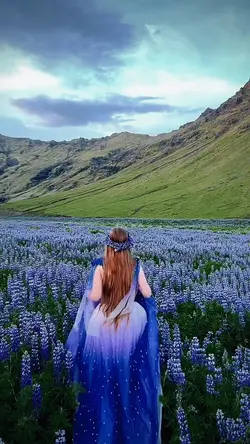 transition 2 video