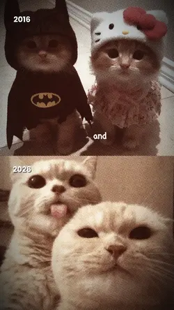 2016vs2026