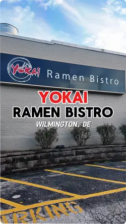 Asian Restaurant Vid