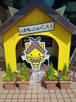 CUPCUT 誰でも作れる無料AI 動画