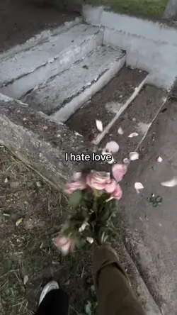 I hate love
