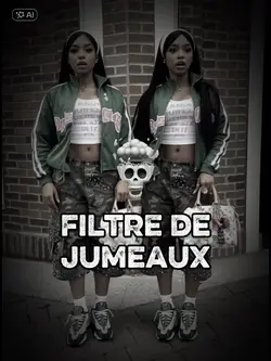Filtre de jumeaux
