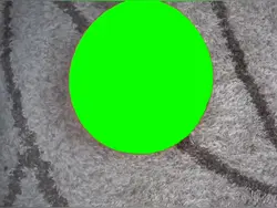 green screen 
