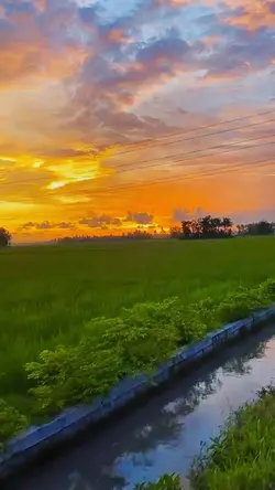 Suara alam damai