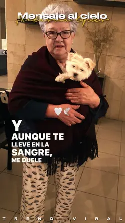 Mensaje del cielo 🤍🕊️