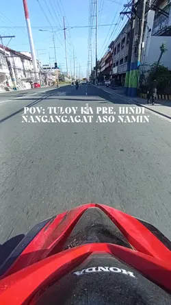 POV DOG 