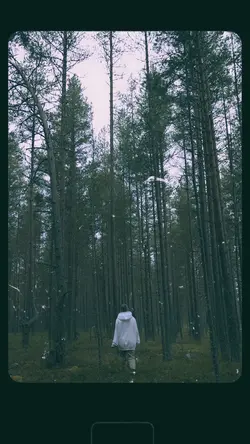 8mm film