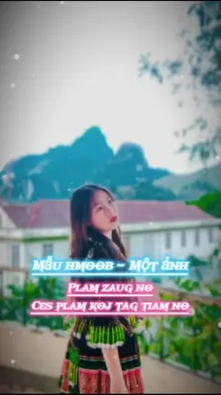 Plam zaug no