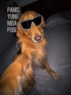 Pogi