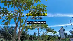 cinematik x horeg