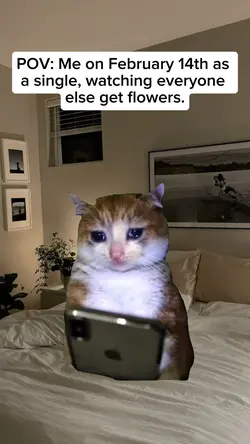 Me on February 14th