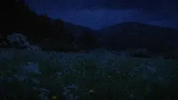 noise/night vibes