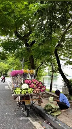 1 ảnh 
