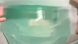 초록색을 넣어보세요!
