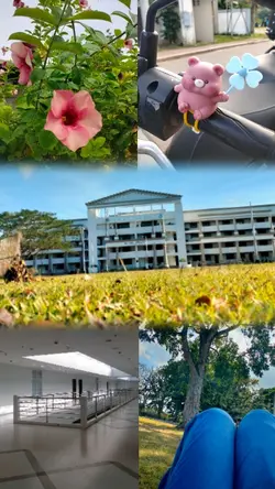 Today's Story