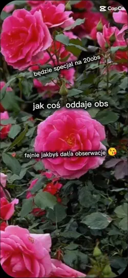oddaje obserwacje