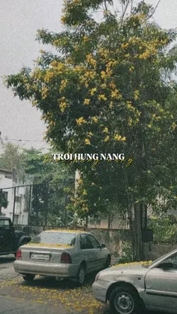 2 ẢNH NHẸ NHÀNG
