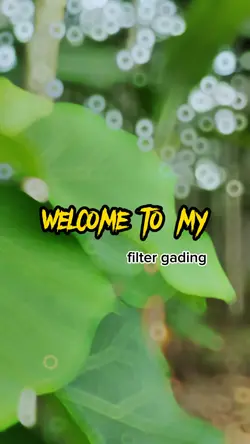 welcome to my