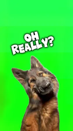 Oh Really?