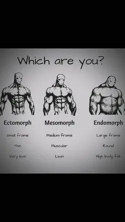 ECTOMORPH 