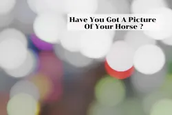Have you got a pic