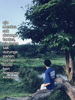 ojo mentas sak