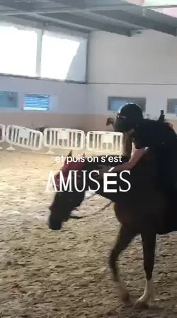 amusés