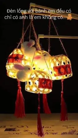 mẫu 1 ảnh 