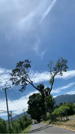 Traveling