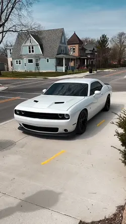 CAR |TOP| 🕸️⚔️