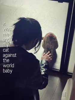 my cat