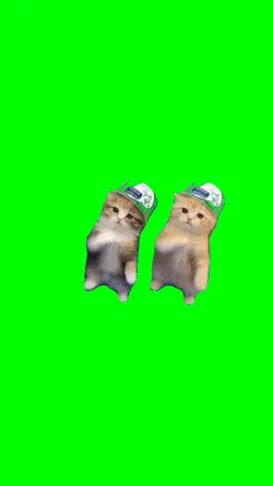 Laitada Dancing Cats