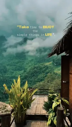 "Enjoy life