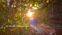 Anh tìm bình yên