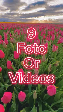 9 Foto Slide