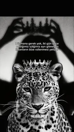Düşmana gerek yok..