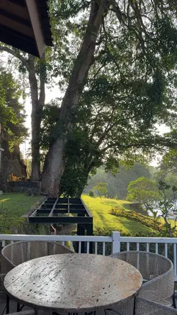 quiet vibes 🌳
