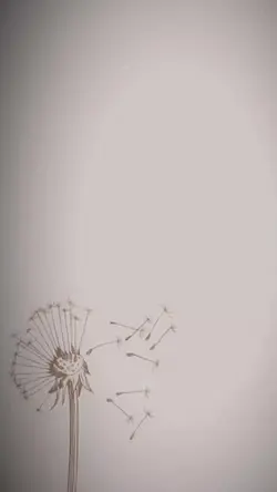 Setiap kebahagiaan