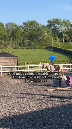 Animals >>