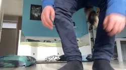 :):(