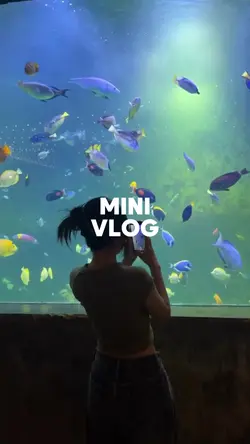 MINI VLOG ASIK