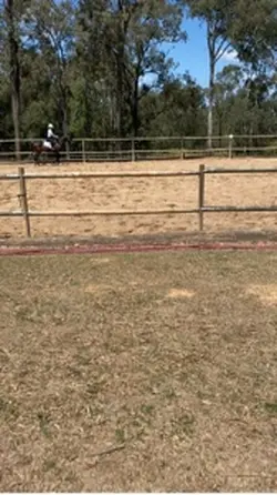 Scooter !