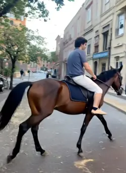 Riding horse