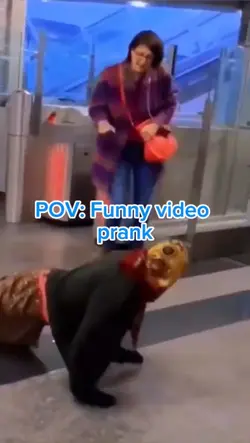 prank part1