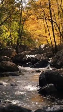 Nature & peace