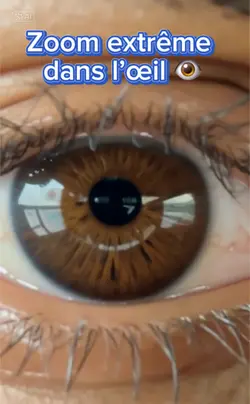 Zoom 👁️