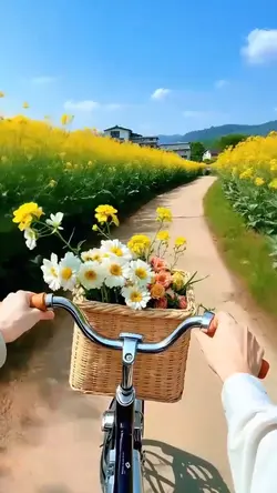 Aesthestic Video